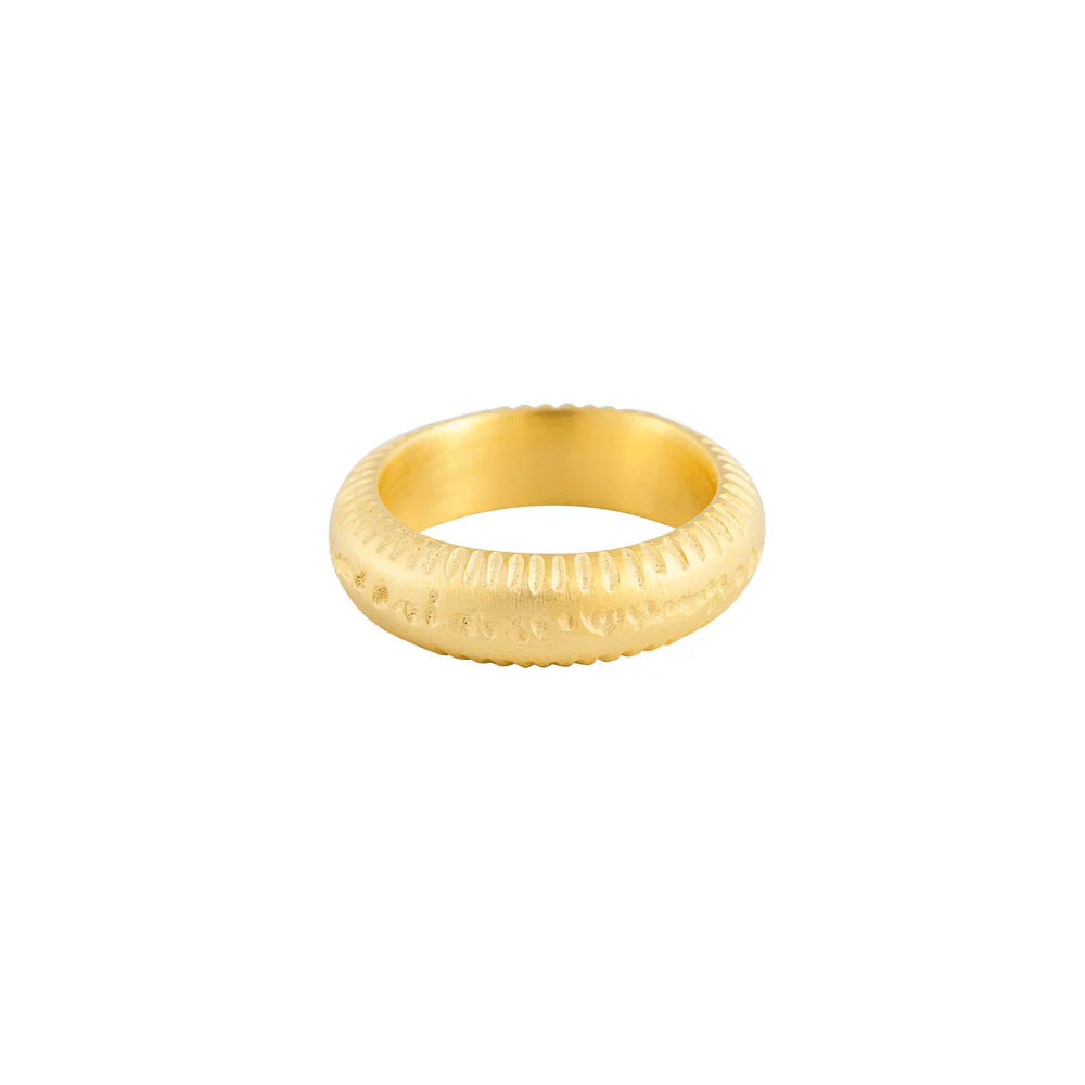 Gold Horizon Ring