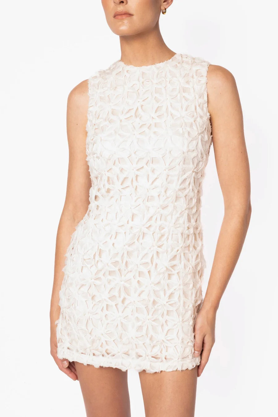 Ana Mini Star Jasmine