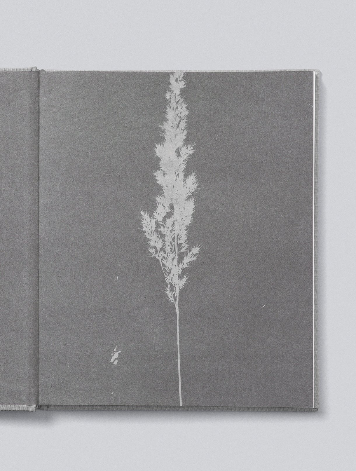 Mama. Tell Me About It - Pink