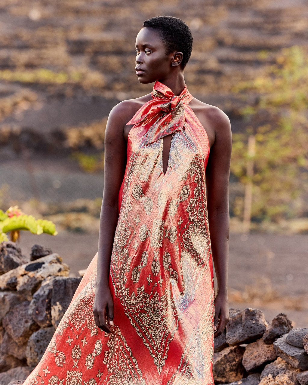 Gary Dress - Red