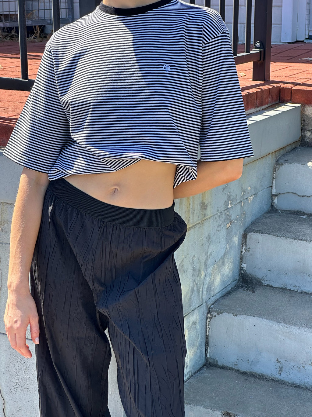 Istar Crushed Pleat Plant