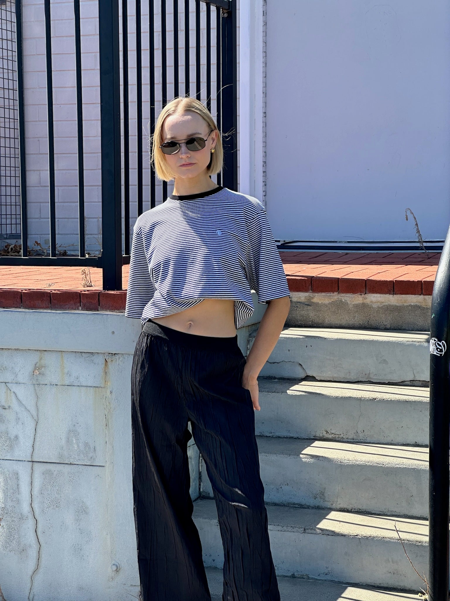 Istar Crushed Pleat Plant