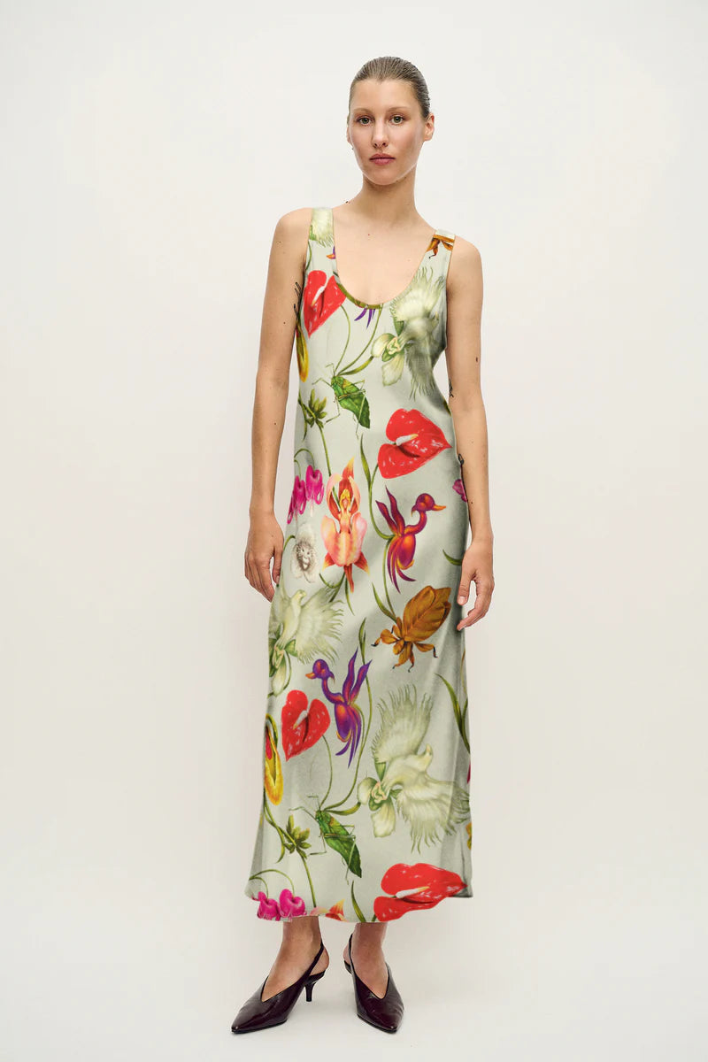 Scoop Neck Dress Wonderland