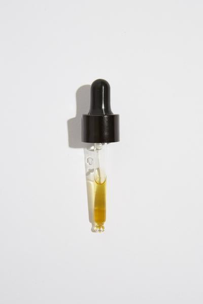 Carnal - Perfume Oils